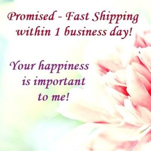 Fast Shipping Promise